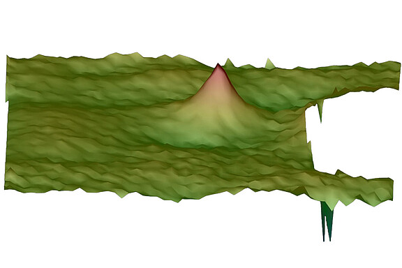 Individuell klassificering